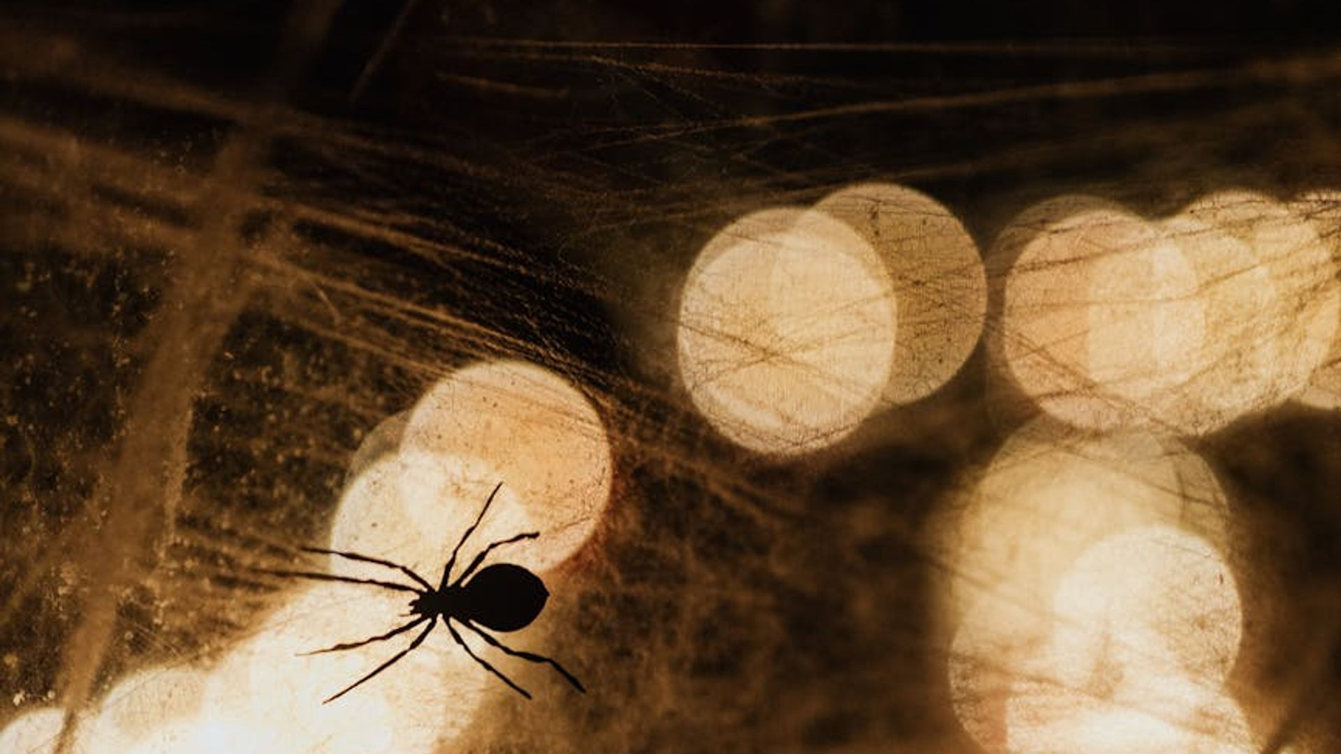 Dark, atmospheric background texture.